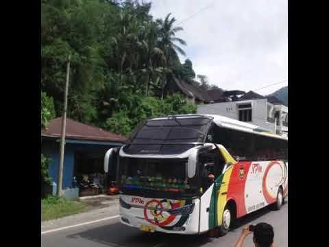 Detail Gambar Bus Npm Nomer 34