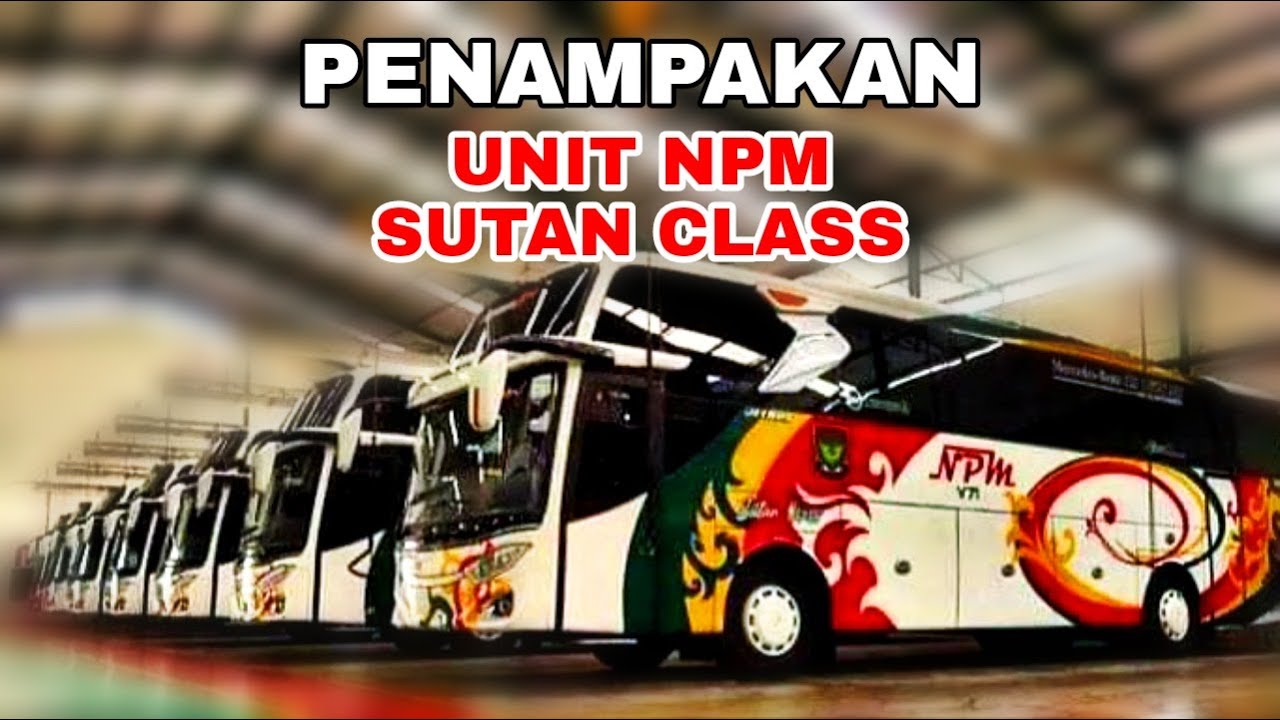 Detail Gambar Bus Npm Nomer 38