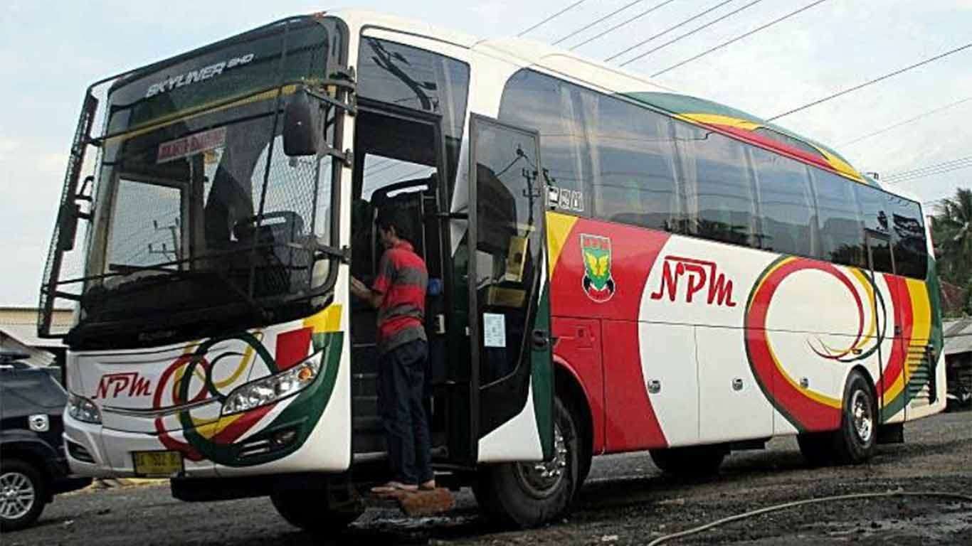 Detail Gambar Bus Npm Nomer 50