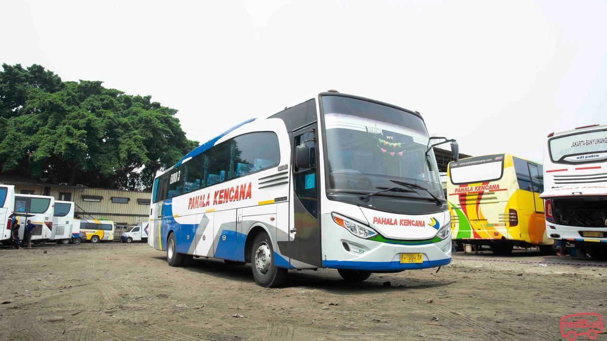 Detail Gambar Bus Pahala Kencana Nomer 2