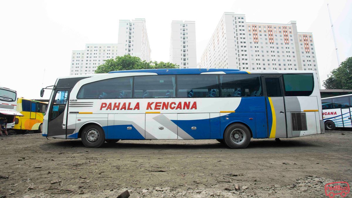 Detail Gambar Bus Pahala Kencana Nomer 12