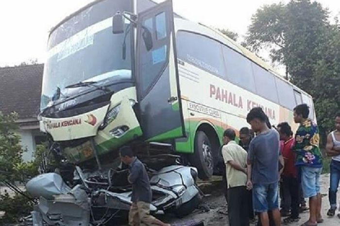 Detail Gambar Bus Pahala Kencana Nomer 4