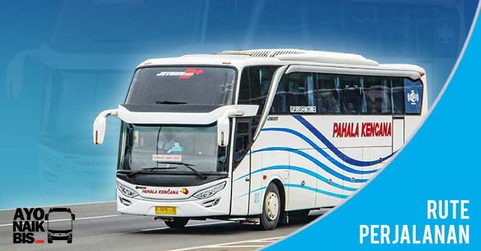 Detail Gambar Bus Pahala Kencana Nomer 36