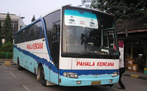 Detail Gambar Bus Pahala Kencana Nomer 43