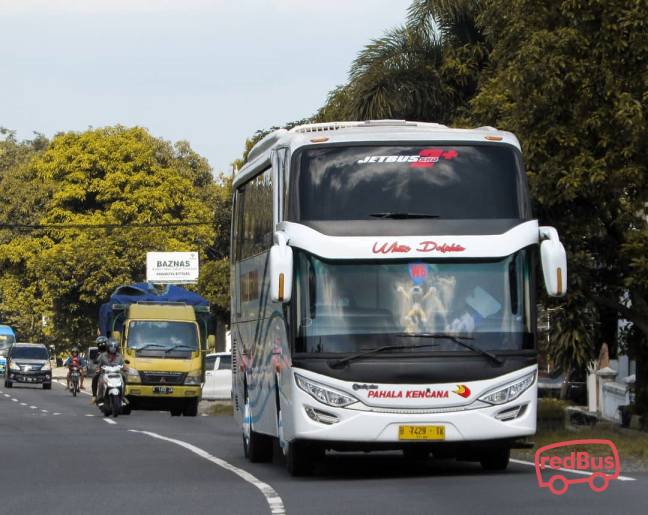 Detail Gambar Bus Pahala Kencana Nomer 50