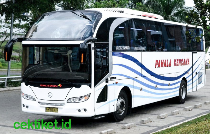 Detail Gambar Bus Pahala Kencana Nomer 7