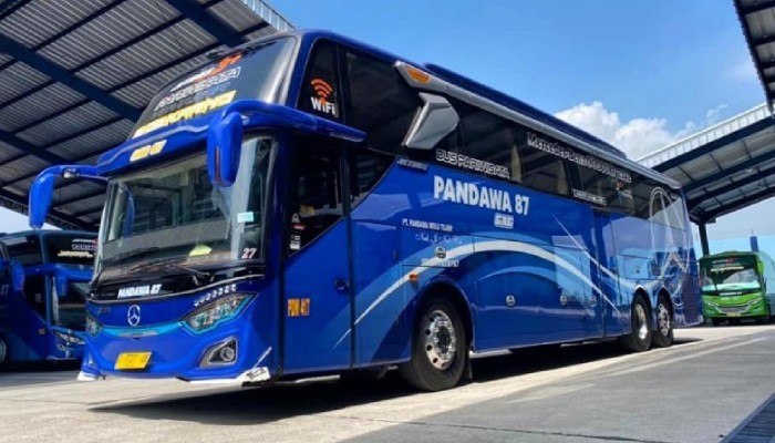 Detail Gambar Bus Pandawa 87 Nomer 3