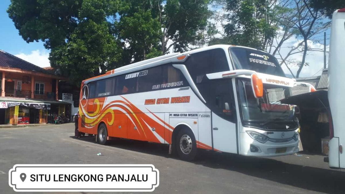 Detail Gambar Bus Pariwisata Nomer 52