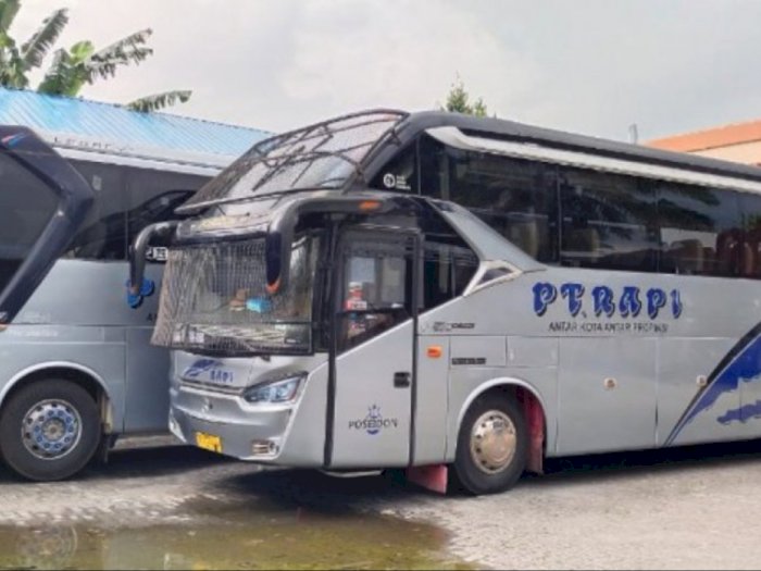 Detail Gambar Bus Pariwisata Gambar Bus Antar Kota Provinsi Nomer 13