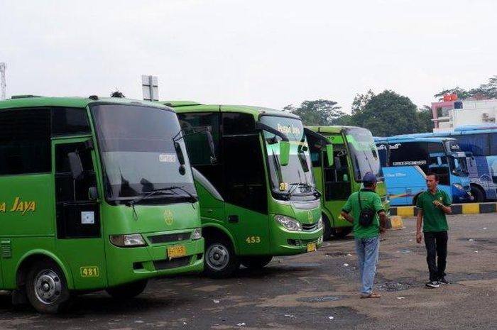 Mengarungi Nusantara: Perjalanan dan Tantangan Bisnis Bus Pariwisata Antar Provinsi