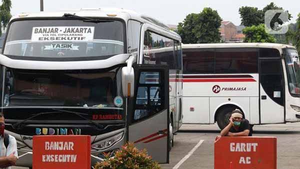 Mengarungi Nusantara: Perjalanan dan Tantangan Bisnis Bus Pariwisata Antar Provinsi
