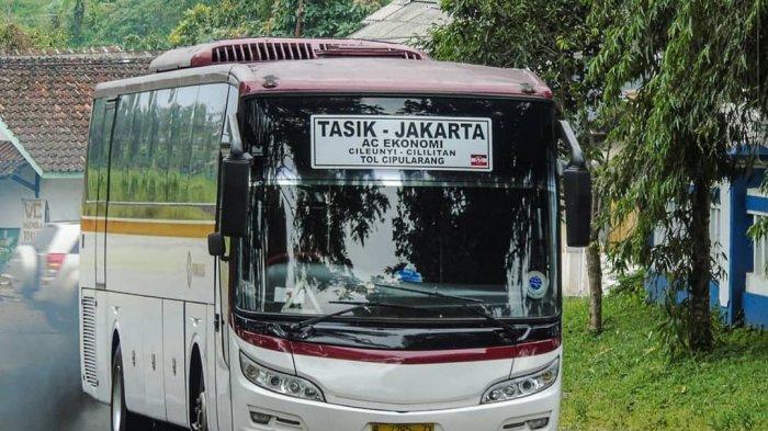 Detail Gambar Bus Primajasa Nomer 15