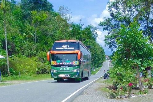 Detail Gambar Bus Pt Als Nomer 12