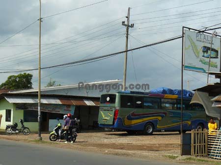 Detail Gambar Bus Pt Als Nomer 50