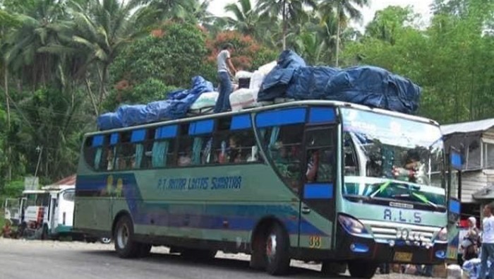 Detail Gambar Bus Pt Als Nomer 55