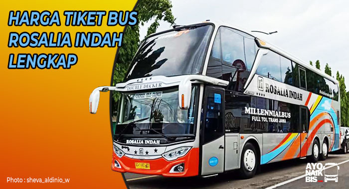 Detail Gambar Bus Rosalia Indah Nomer 4