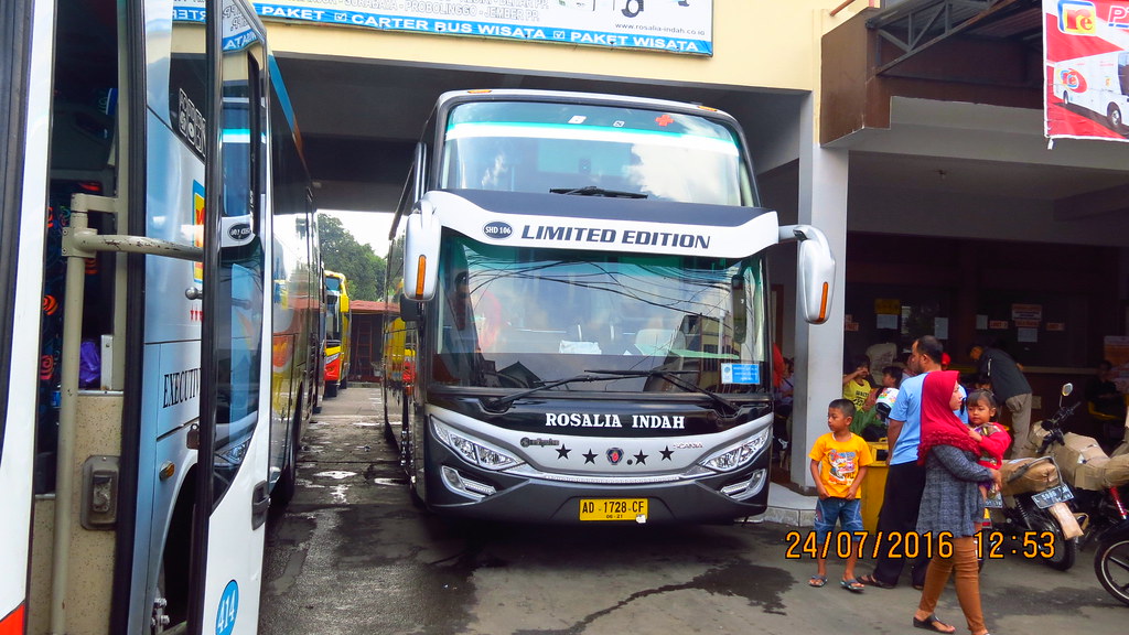 Gambar Bus Rosalia Indah Limited Edition - KibrisPDR