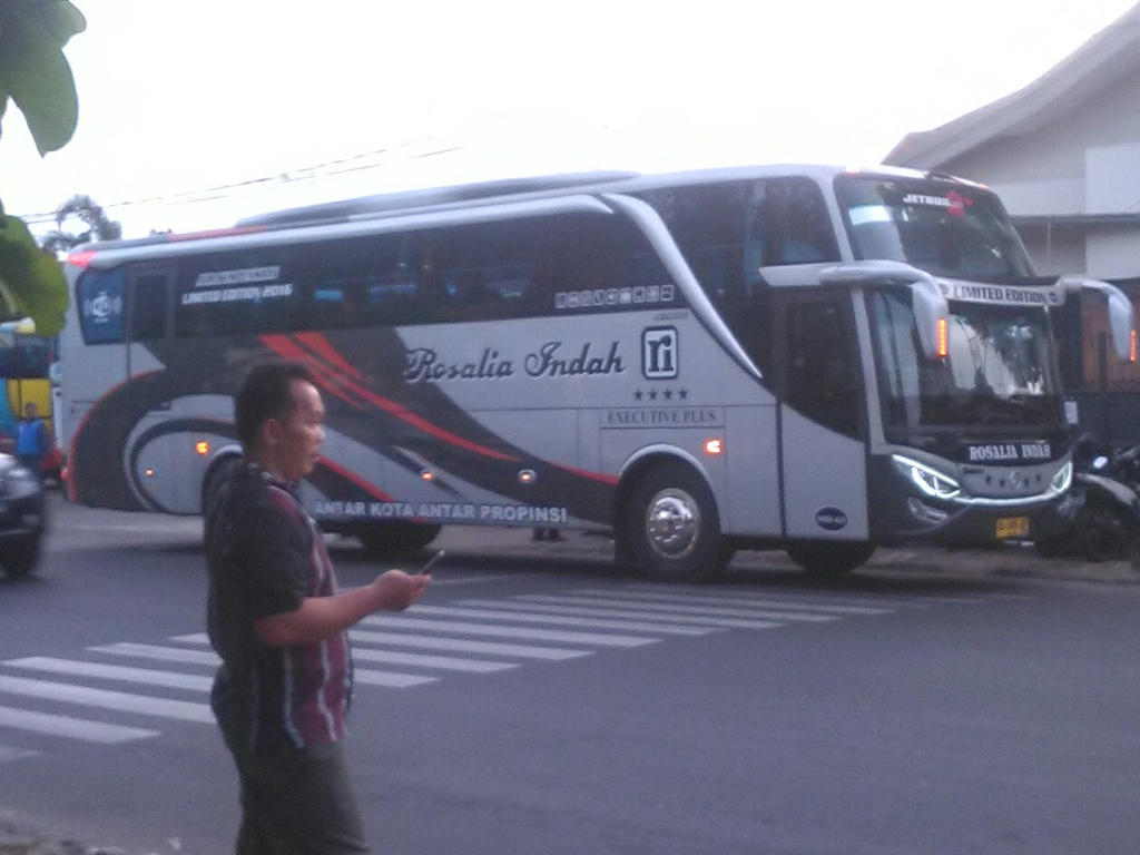 Detail Gambar Bus Rosalia Indah Limited Edition Nomer 11