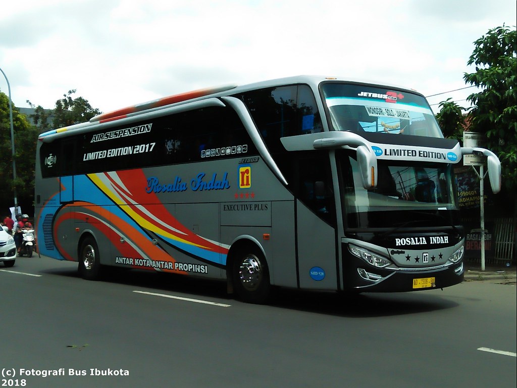 Detail Gambar Bus Rosalia Indah Limited Edition Nomer 13