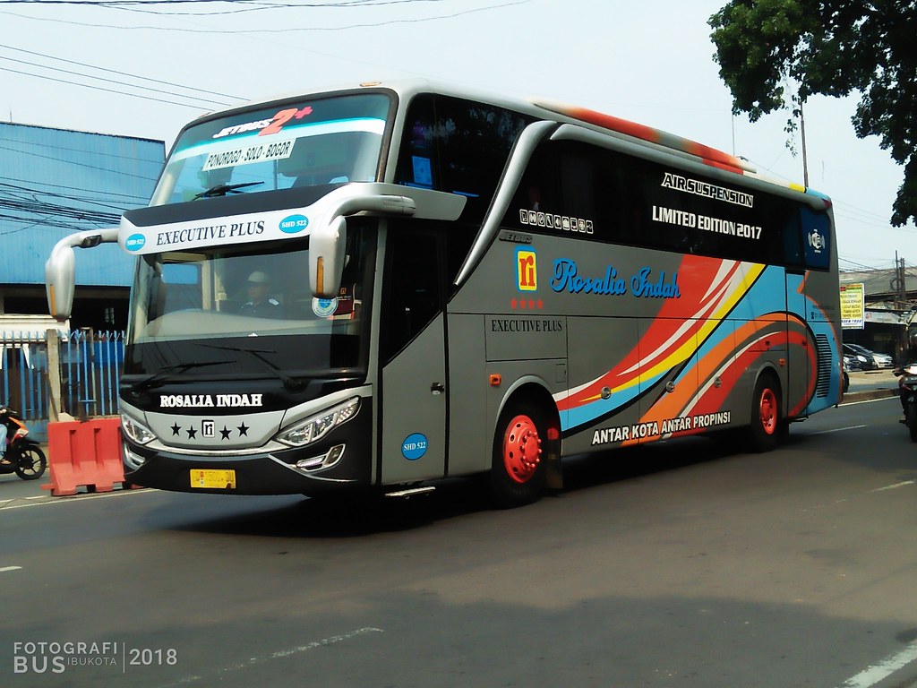 Detail Gambar Bus Rosalia Indah Limited Edition Nomer 15