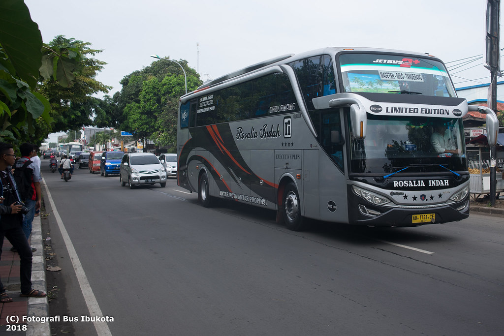 Detail Gambar Bus Rosalia Indah Limited Edition Nomer 21