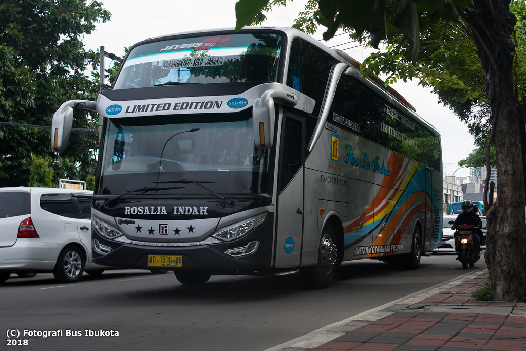 Detail Gambar Bus Rosalia Indah Limited Edition Nomer 24