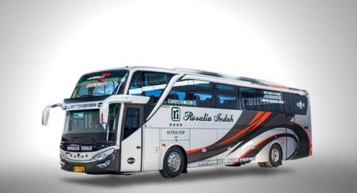 Detail Gambar Bus Rosalia Indah Limited Edition Nomer 30