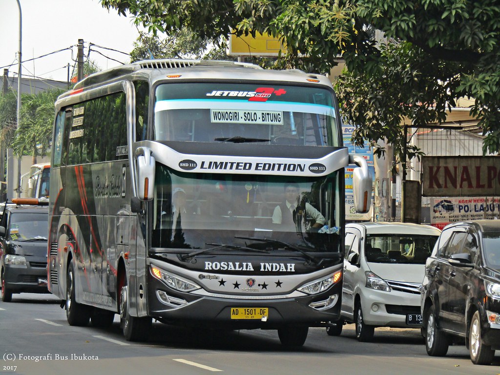 Detail Gambar Bus Rosalia Indah Limited Edition Nomer 41