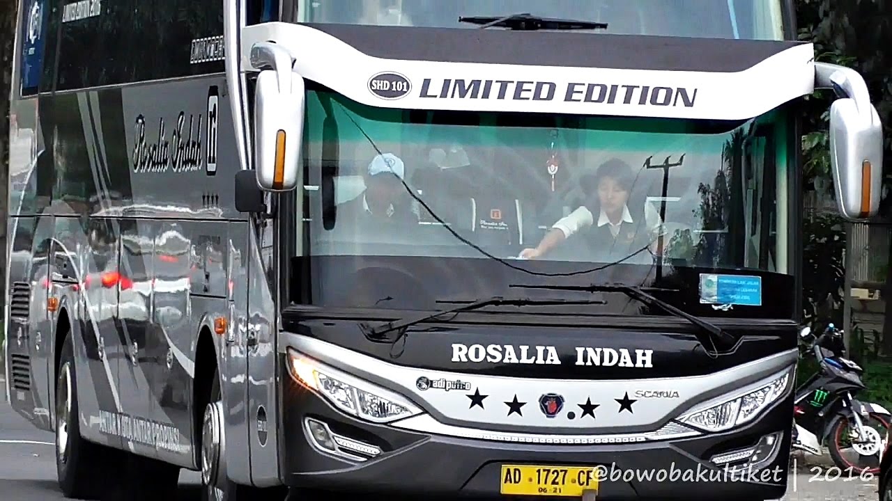 Detail Gambar Bus Rosalia Indah Limited Edition Nomer 46