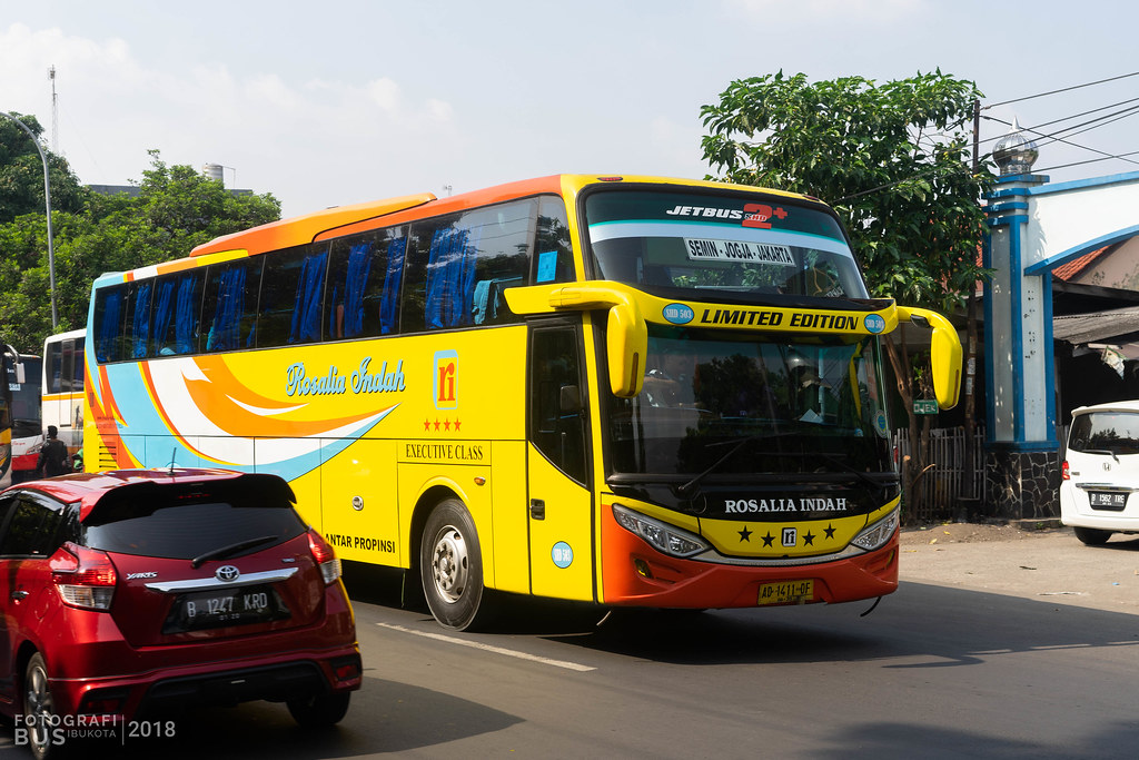 Detail Gambar Bus Rosalia Indah Limited Edition Nomer 50