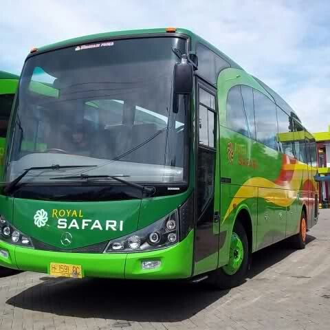 Gambar Bus Royal Safari - KibrisPDR