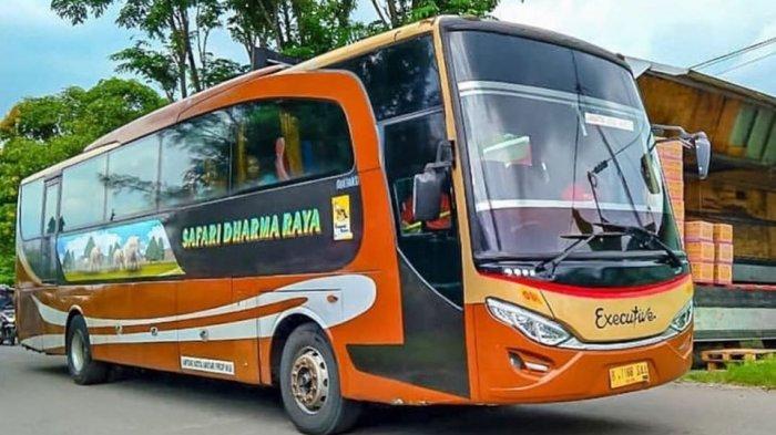 Detail Gambar Bus Safari Nomer 16