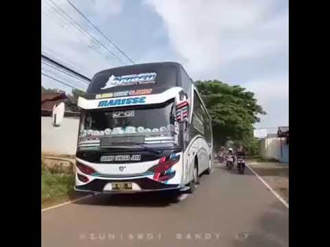 Detail Gambar Bus Sudiro Tungga Jaya Nomer 4