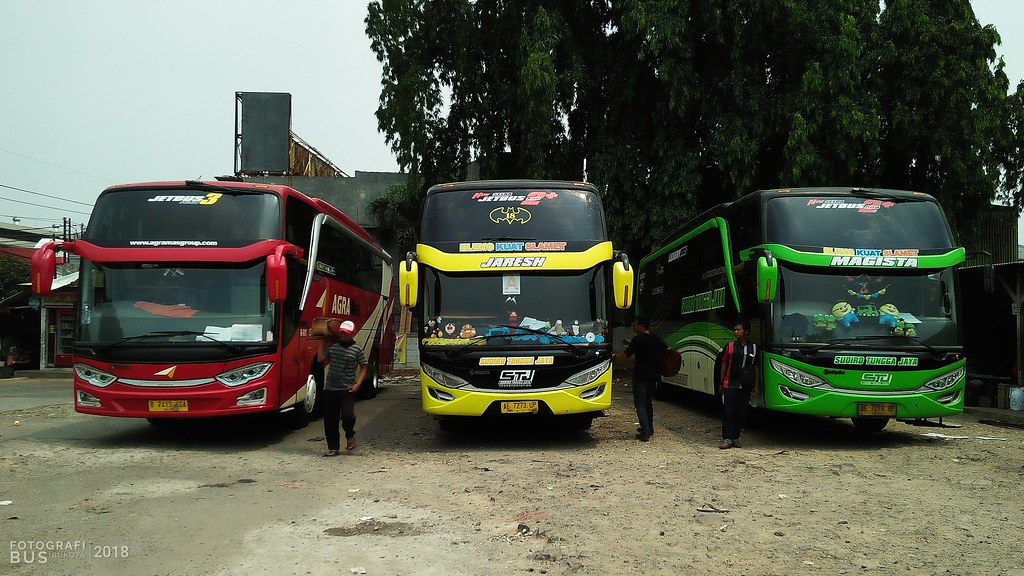 Detail Gambar Bus Sudiro Tungga Jaya Nomer 38