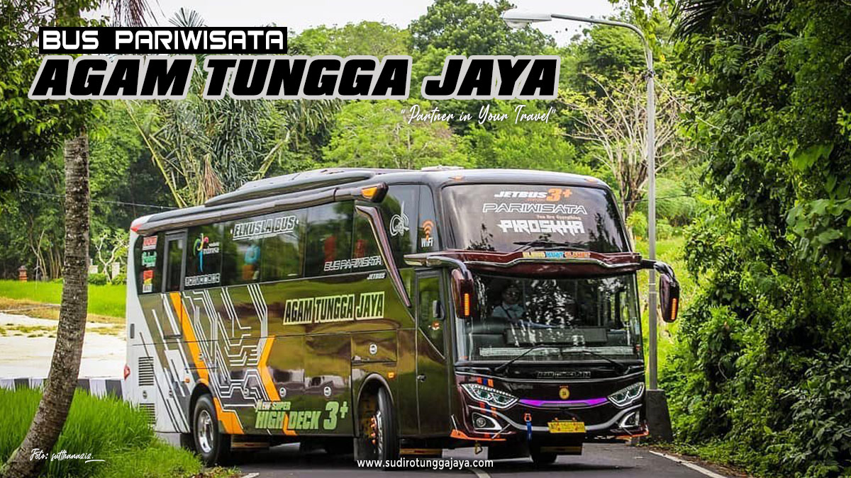 Detail Gambar Bus Sudiro Tungga Jaya Nomer 45