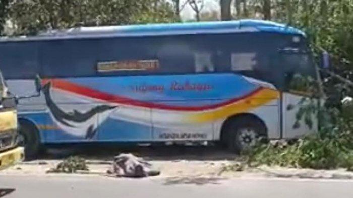 Detail Gambar Bus Sugeng Rahayu Terbaru Nomer 48
