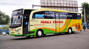 Detail Gambar Bus Terbagus Nomer 24