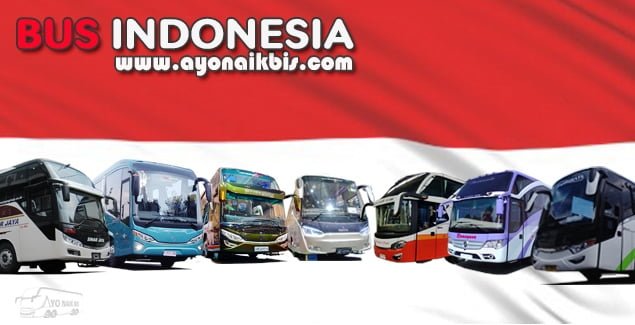 Detail Gambar Bus Terbagus Nomer 41