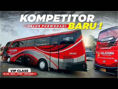 Detail Gambar Bus Vip Serta Dalam Nya Nomer 42