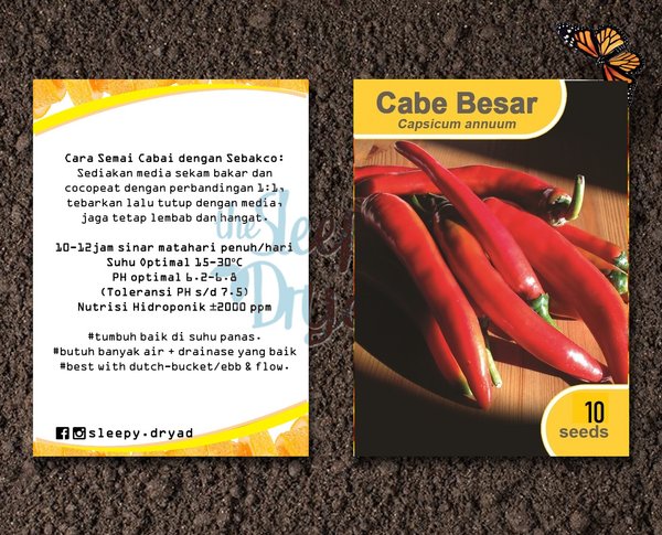 Detail Gambar Cabai Merah Besar 2 Nomer 31