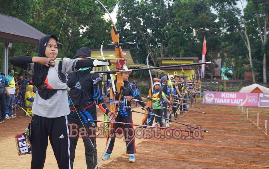 Detail Gambar Cabang Olahraga Lomba Memanah Nomer 24