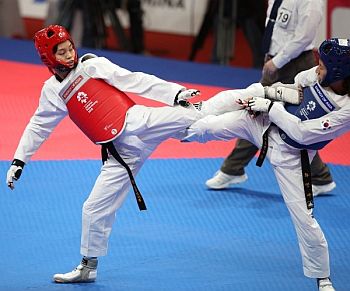 Detail Gambar Cabang Olahraga Taekwondo Nomer 47