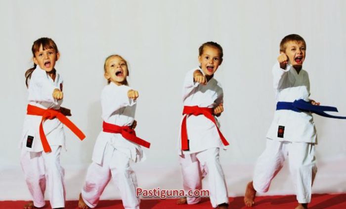 Detail Gambar Cabang Olahraga Taekwondo Nomer 8