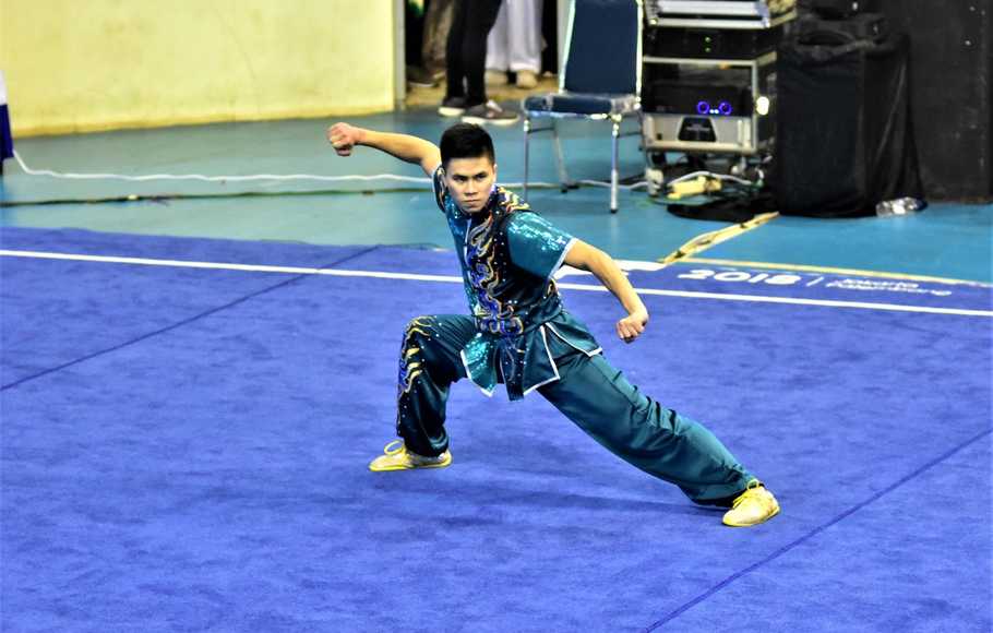 Detail Gambar Cabang Olahraga Wushu Nomer 26