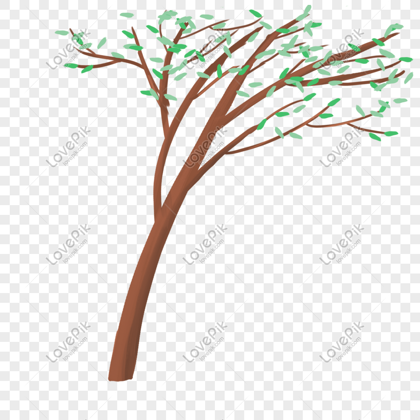 Detail Gambar Cabang Pohon Nomer 14