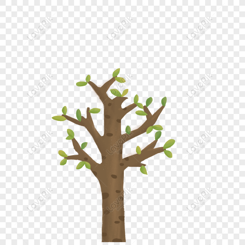 Detail Gambar Cabang Pohon Nomer 24