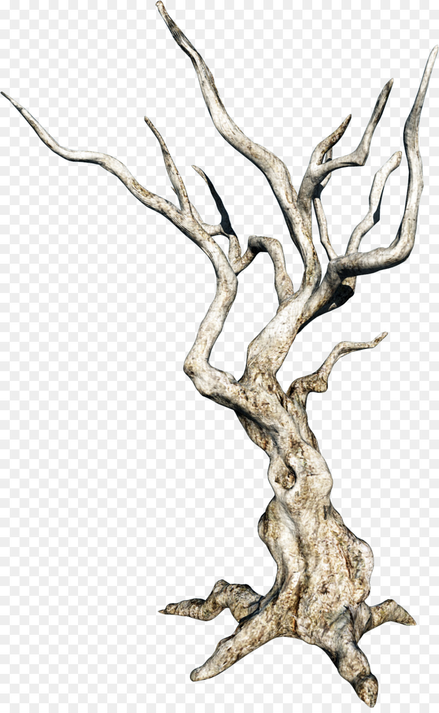 Detail Gambar Cabang Pohon Nomer 6