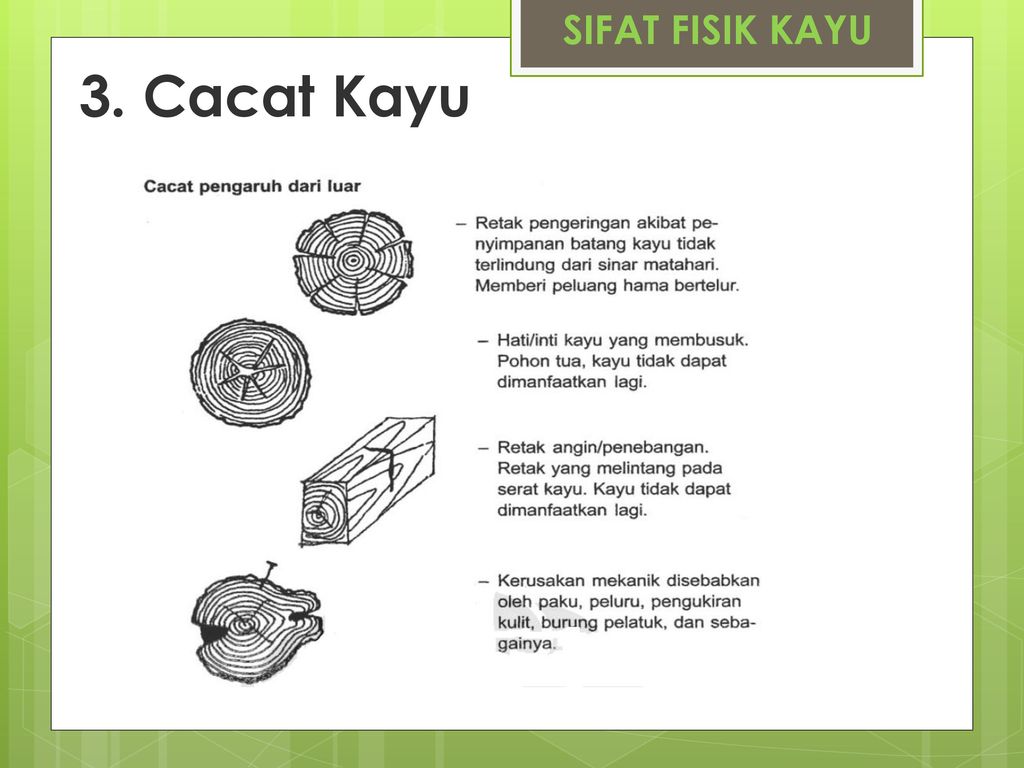 Detail Gambar Cacat Kayu Nomer 19