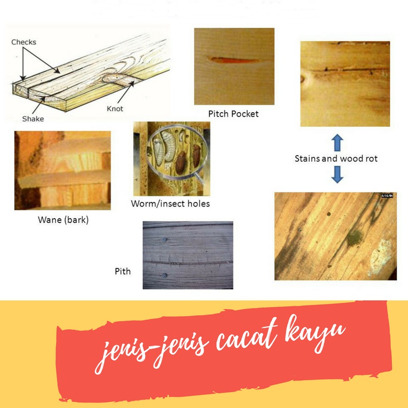 Detail Gambar Cacat Kayu Nomer 7