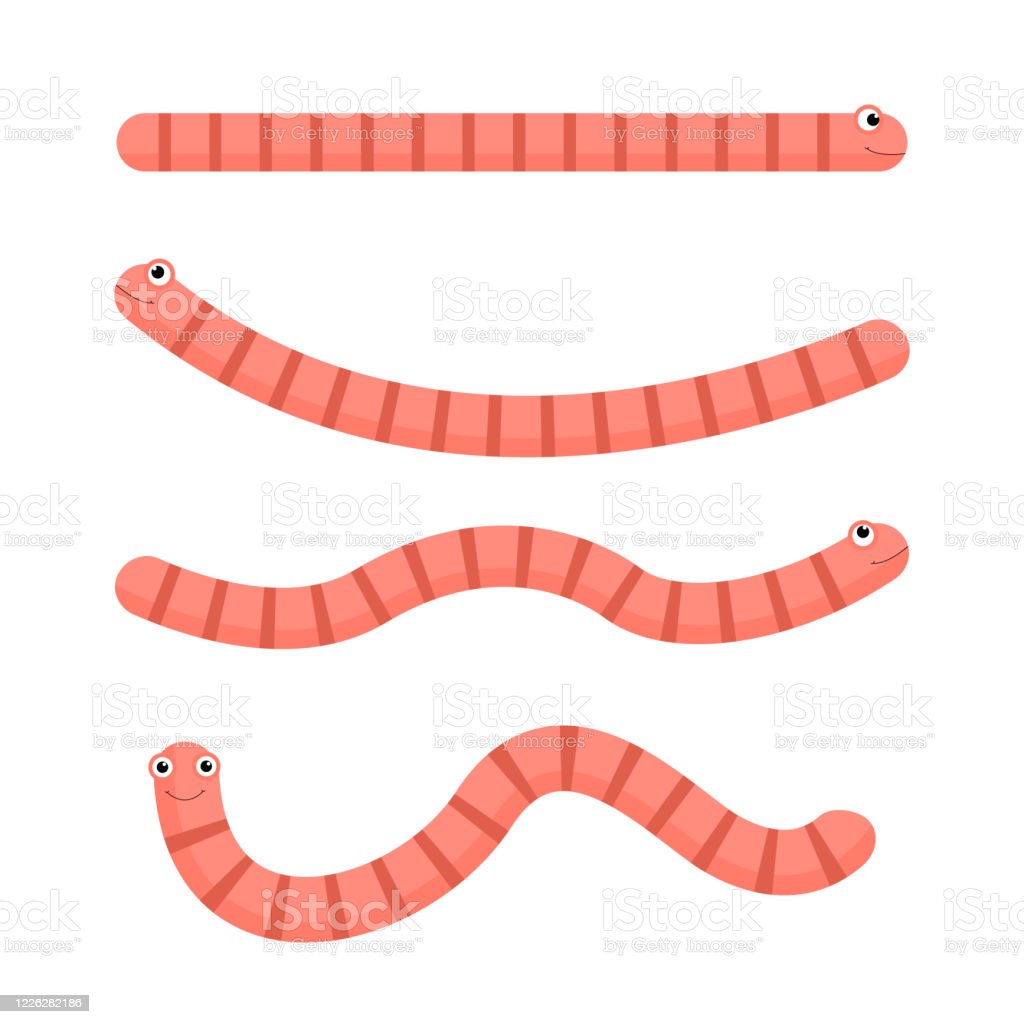 Detail Gambar Cacing Animasi Nomer 5